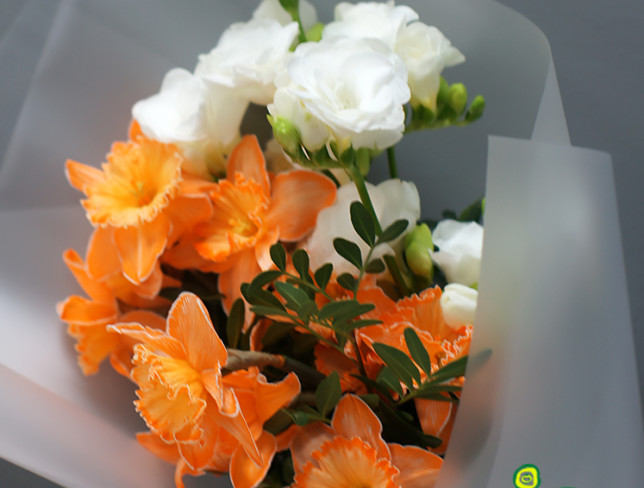 Bouquet with orange daffodils and white freesia photo